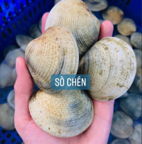 'Sò Chén'