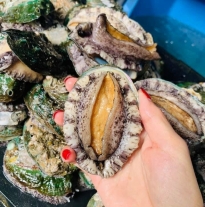'Bào Ngư Hàn Quốc'