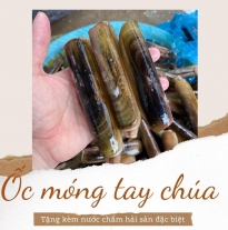 'Ốc Móng Tay Chúa'