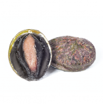 'Bào Ngư Úc'