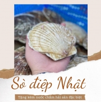 'Sò Điệp Nhật'