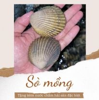 'SÒ MỒNG'