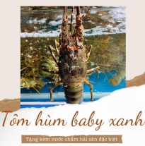 'Tôm Hùm BaBy Xanh'