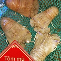 'Tôm Mủ Ni Vàng'