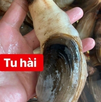 'Tu hài '