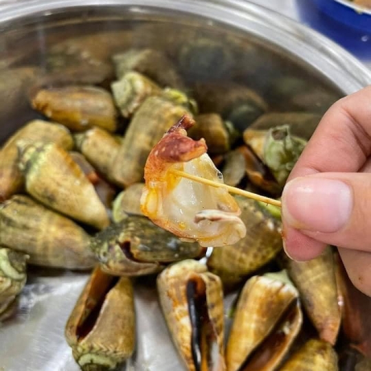 ỐC NHẢY ĐỎ 