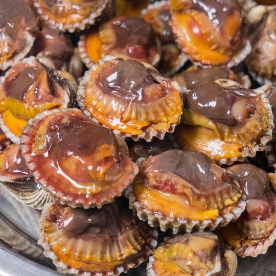 Sò Huyết  Cà Mau
