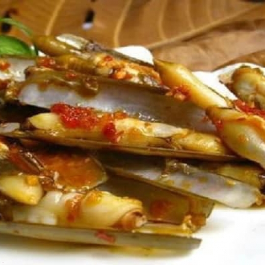 Ốc Móng Tay Chúa