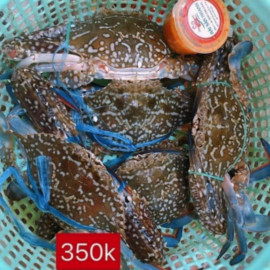 Ghẹ Xanh Phan Thiết