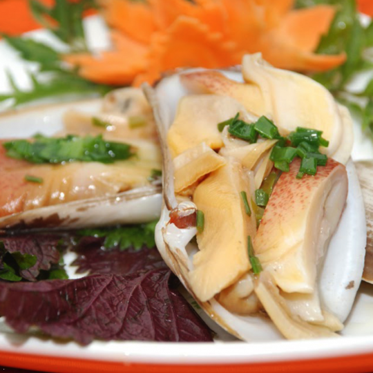 Tu hài 