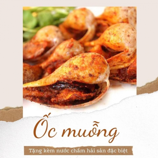 Ốc Muỗng