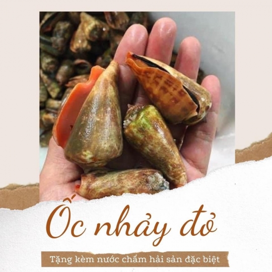 ỐC NHẢY ĐỎ 