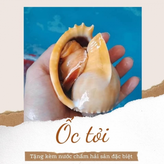 Ốc Tỏi