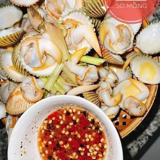SÒ MỒNG