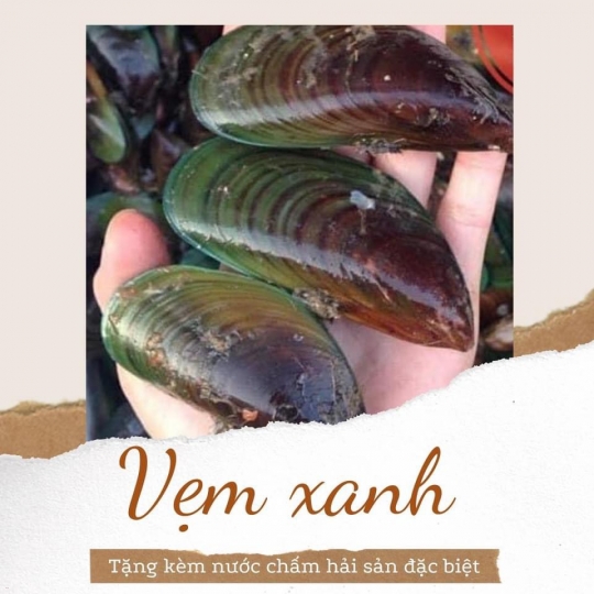Vẹm Xanh 