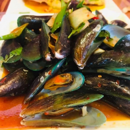 Vẹm Xanh 