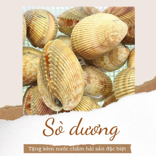 Sò Dương 